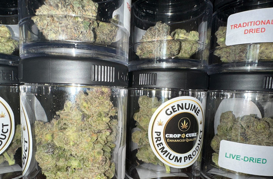 The Best & Worst Cannabis Drying Methods