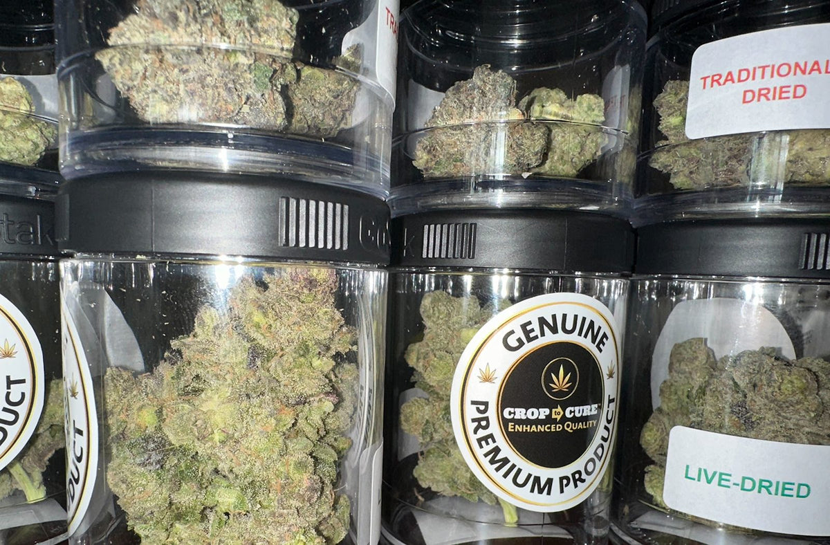 Best Drying Methods for Cannabis