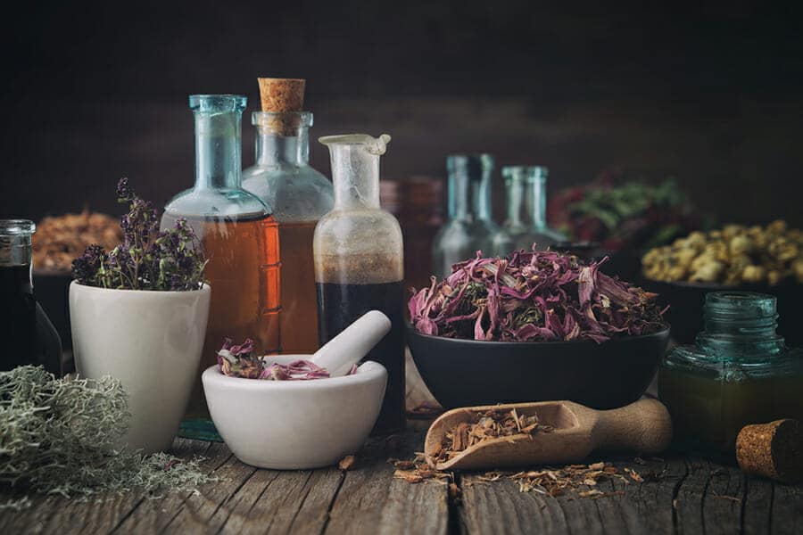 Top Trimmer for Botanicals Used in Food, Cosmetics, Health