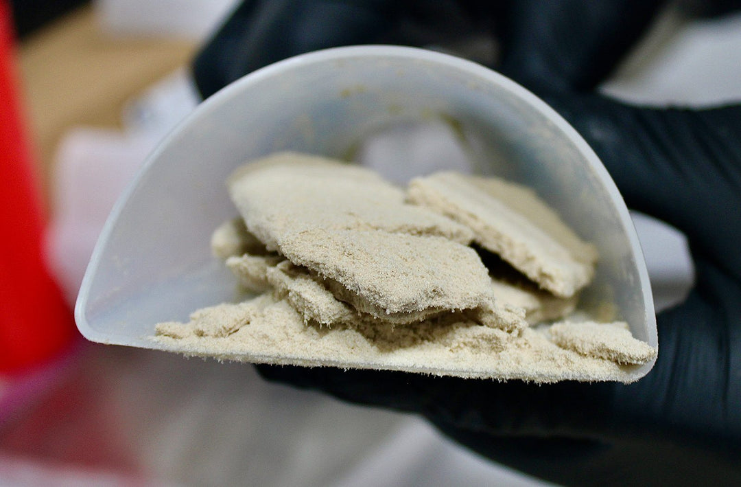 How Much Bubble Hash Does 1 Oz of Cannabis Yield?