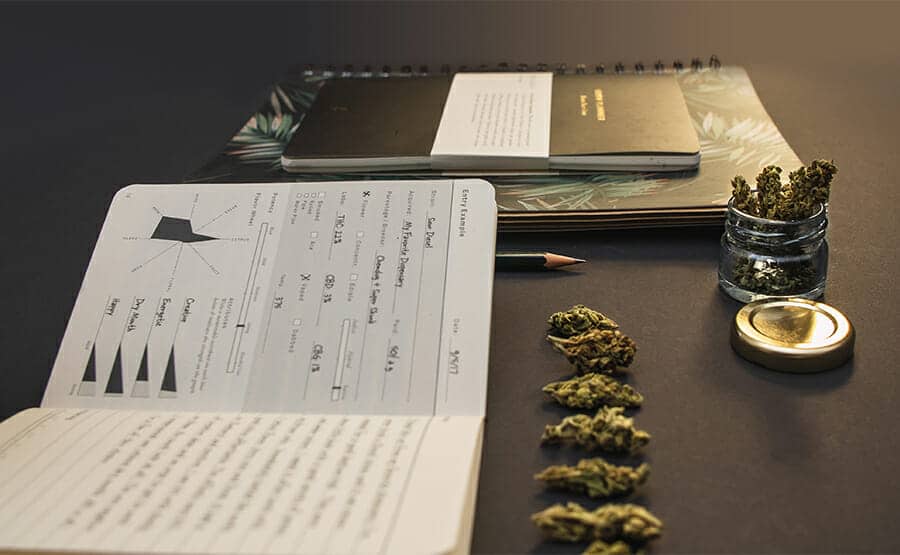 A cannabis strain journal with tasting notes, dried buds, and a glass jar