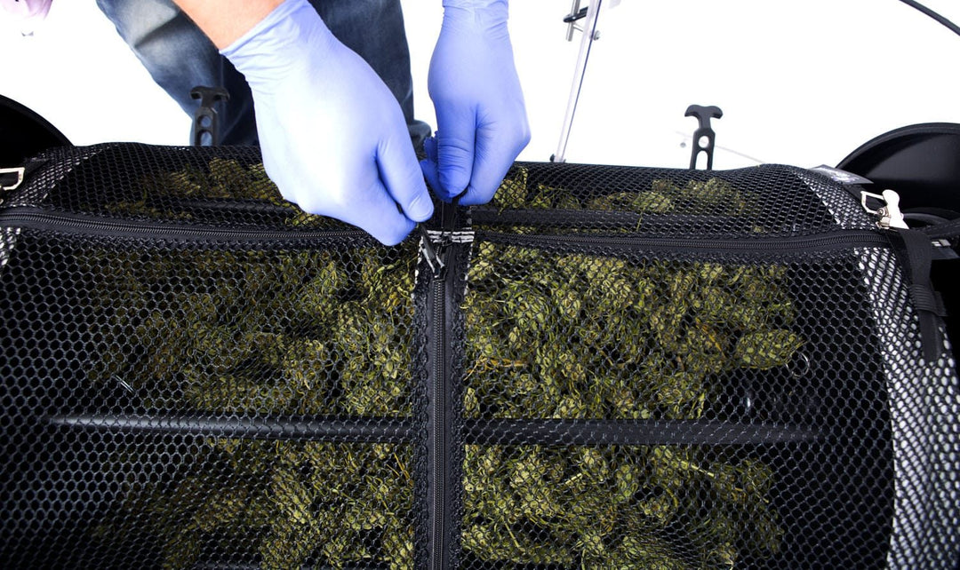 How Long Does It Take to Trim a Pound of Weed?