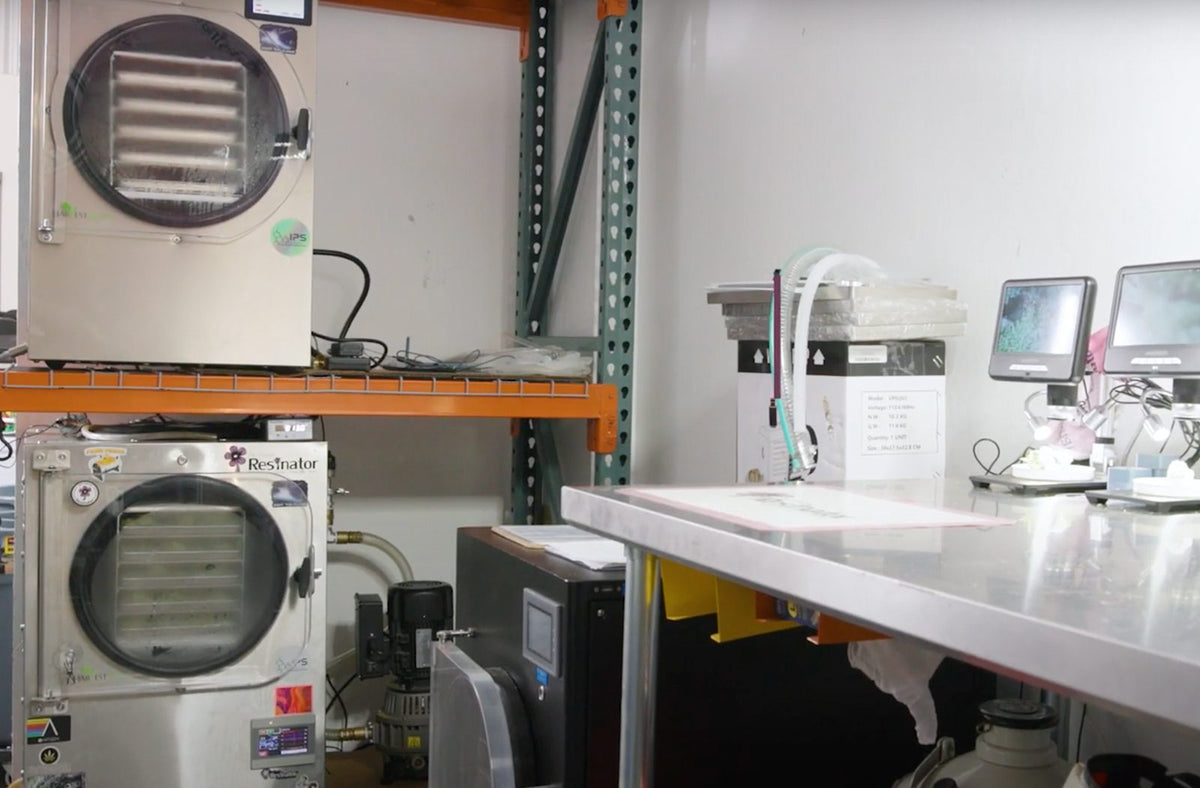 How Lyophilization Process Works