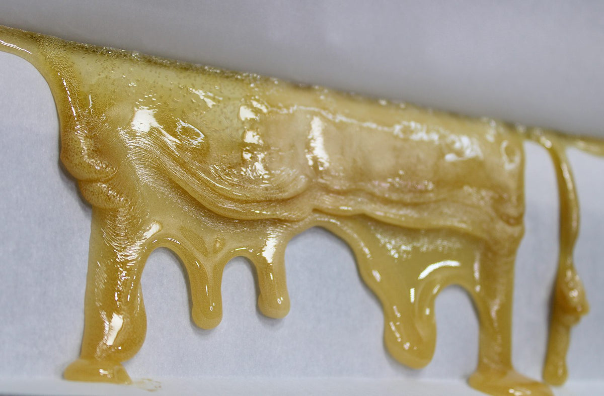 How to Press Kief Into Rosin