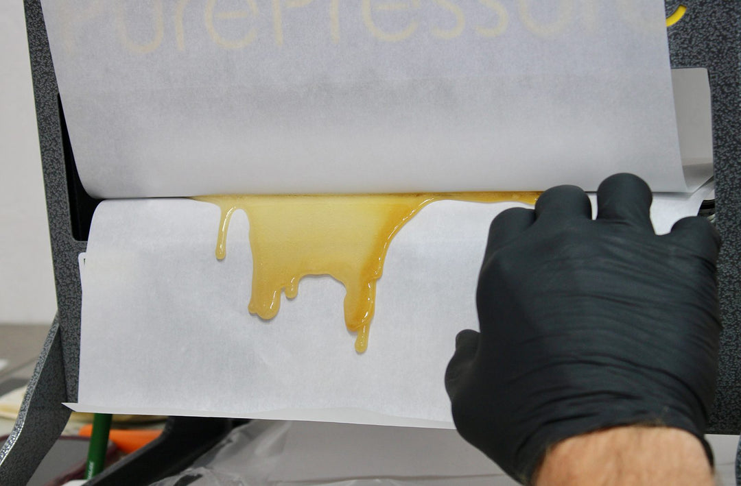 Expert’s Guide to Maximum Terpene Extraction
