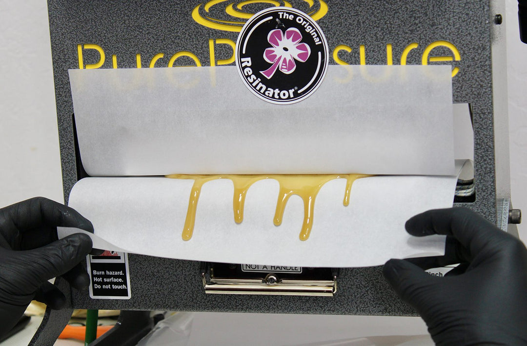 Rosin Color and What It Tells You