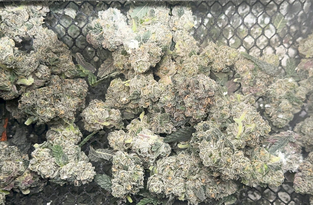 The Best Ways to Store Trim for Butter and Live Edibles