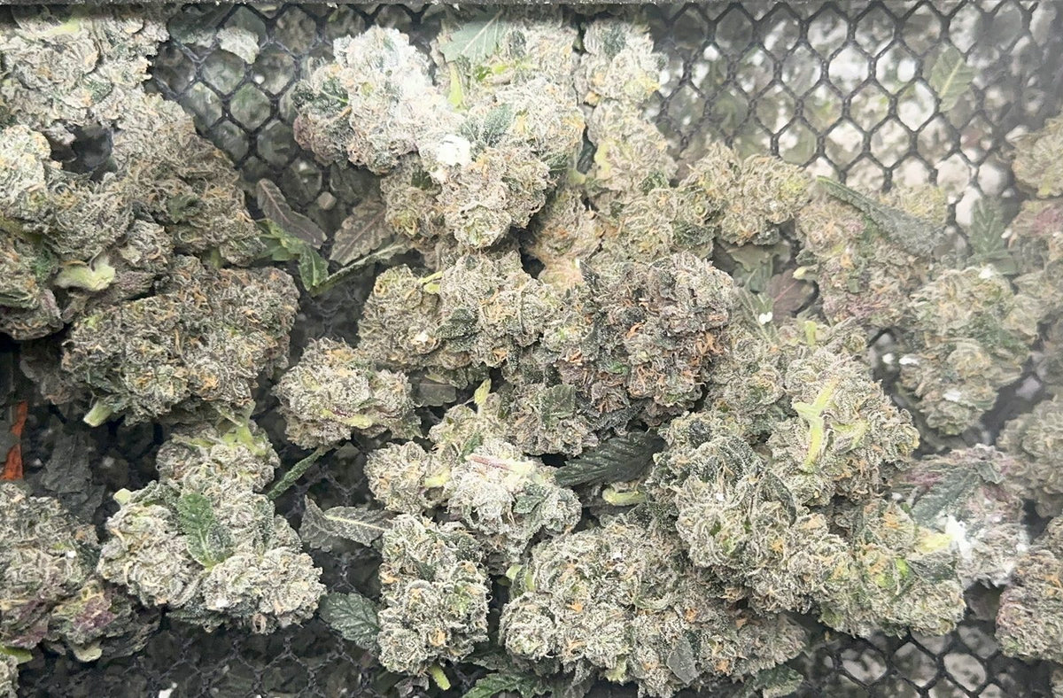 Best Ways to Store Trim for Butter and Live Edibles