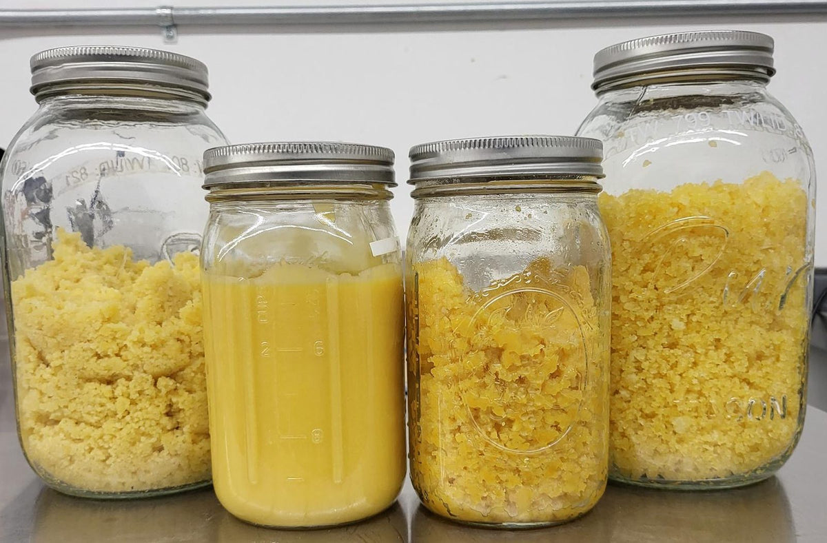 BHO Yield