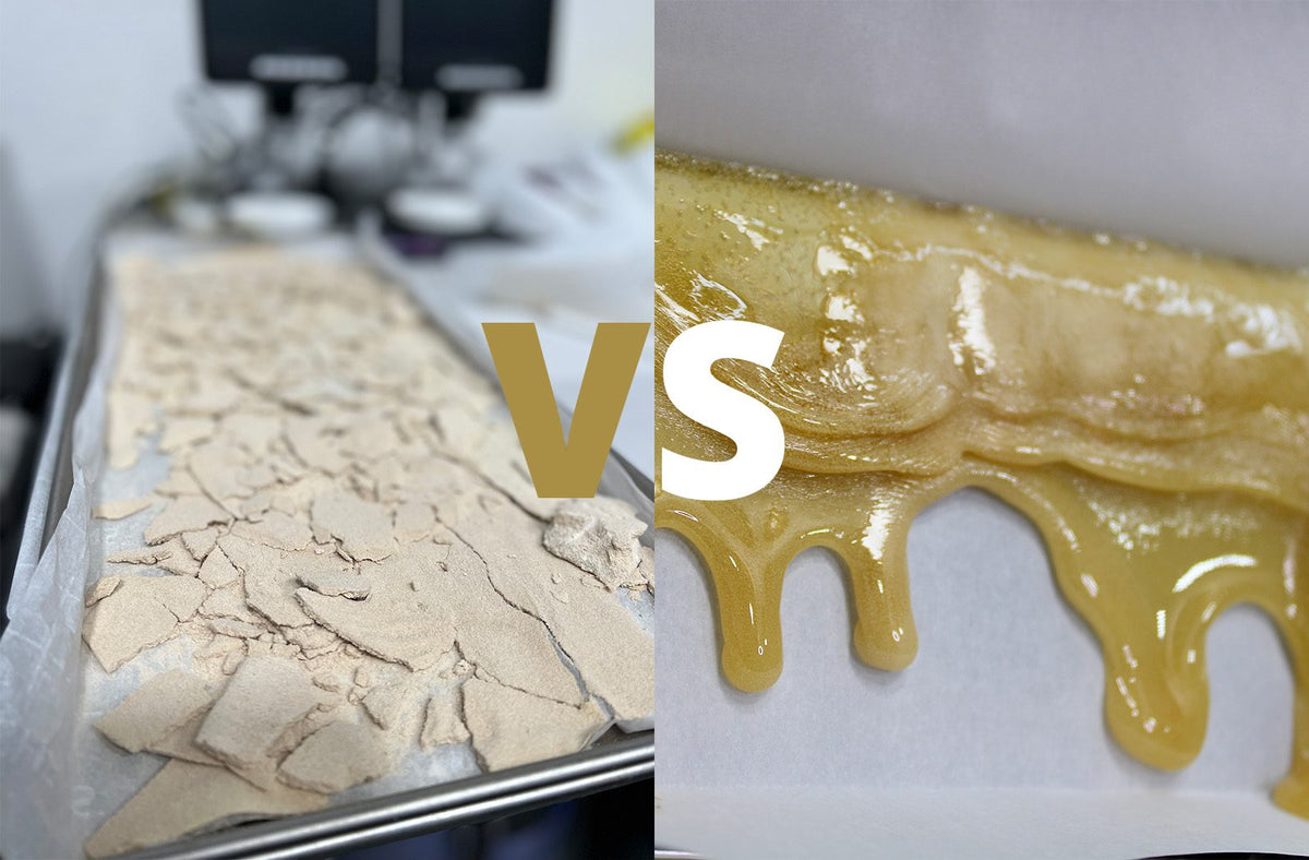 Cannabis Extracts vs Concentrates vs Separations