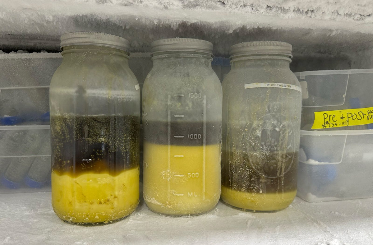 How to Make BHO