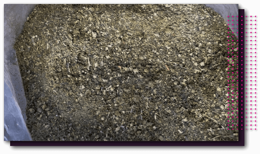 Cannabis biomass milled by the Cryo-Crusher cryogenic hammer mill