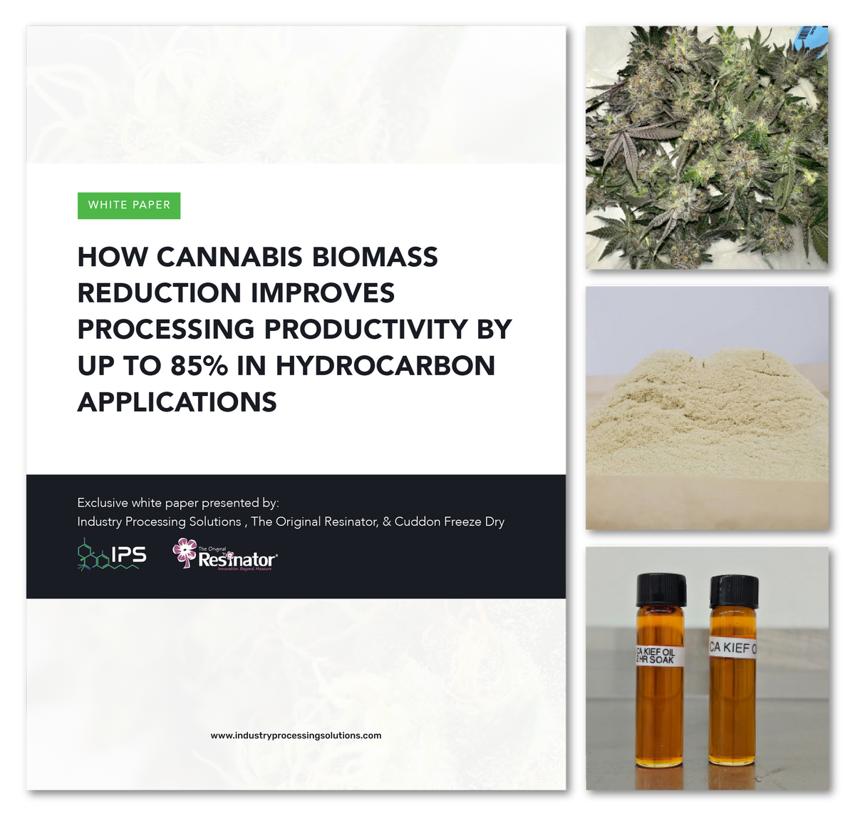 Mockup of The Original Resinator biomass reduction and hydrocarbon extraction white paper