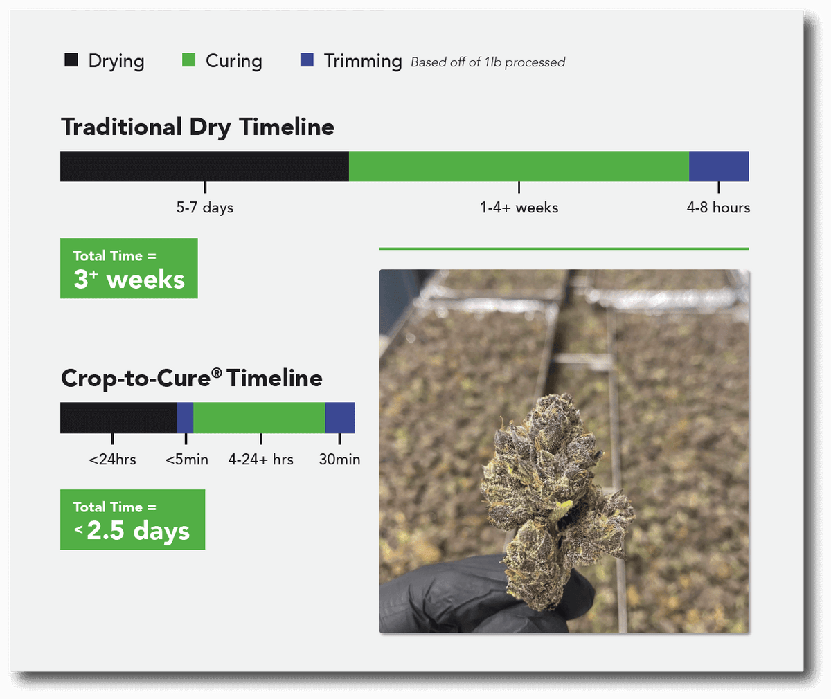 Traditional Dry Vs. Crop-To-Cure® Timeline Comparison graphic