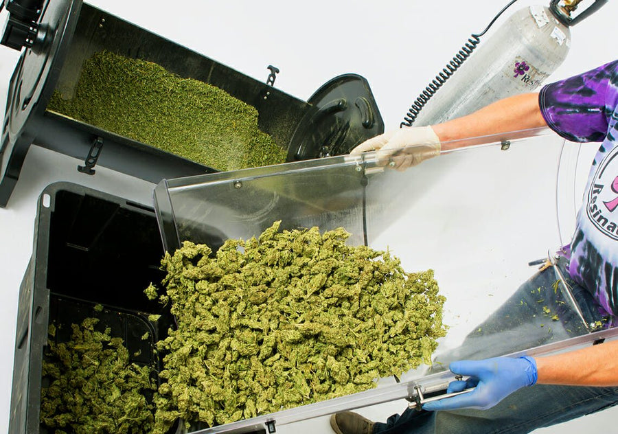 Gloved hands emptying cryo-trimmed cannabis buds from an Original Resinator tumbler drum into a collection tray, with a CO2 tank alongside