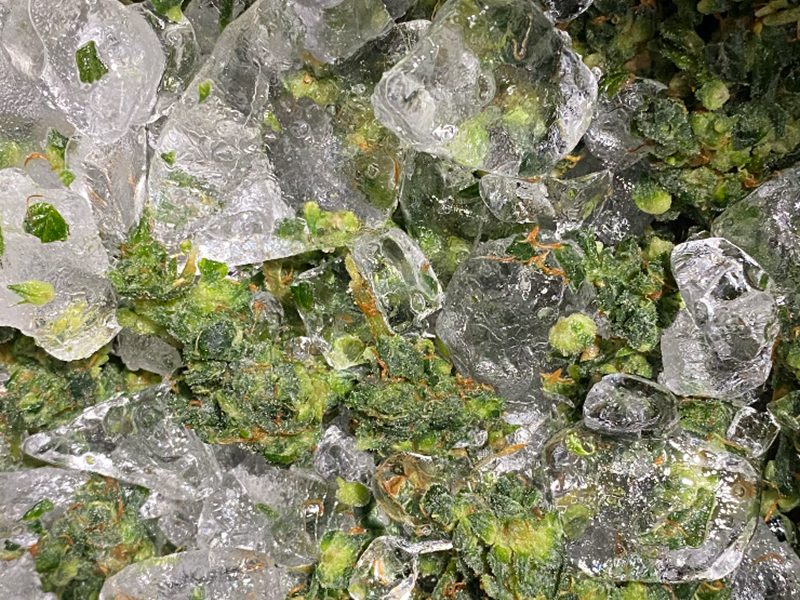 Making ice-water hash inside the clear drum of an Original Resinator XL machine