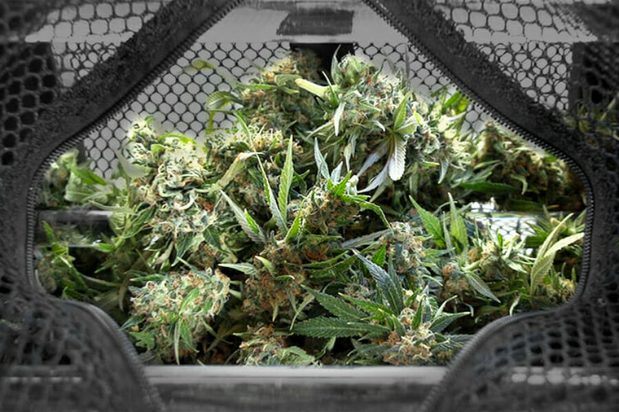 Cryo-Trim® Takes Charge of Trimming Fast and Pure