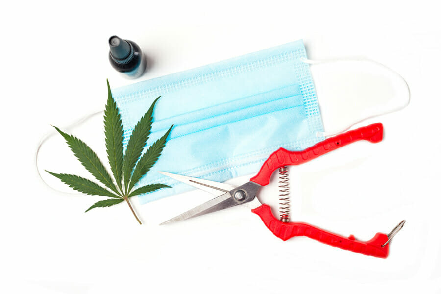 How the Cannabis Industry is being Changed by Covid-19