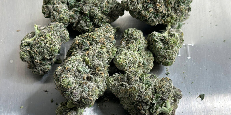 Bladeless-Trimming-Compound-Genetix-The-Original-Resinator Bladeless-Trimming-Compound-Genetix-The-Original-Resinator