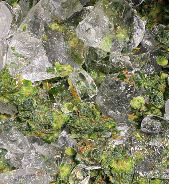 Making-Ice-Water-Hash-With-Original-Resinator-XL-Machine Making-Ice-Water-Hash-With-Original-Resinator-XL-Machine