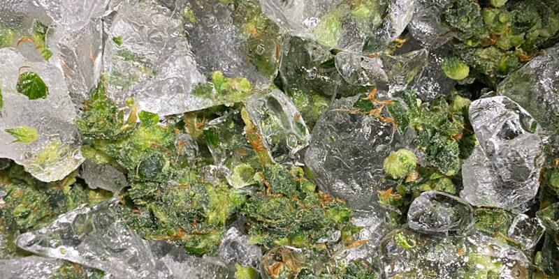 Making-Ice-Water-Hash-With-Original-Resinator-XL-Machine Making-Ice-Water-Hash-With-Original-Resinator-XL-Machine