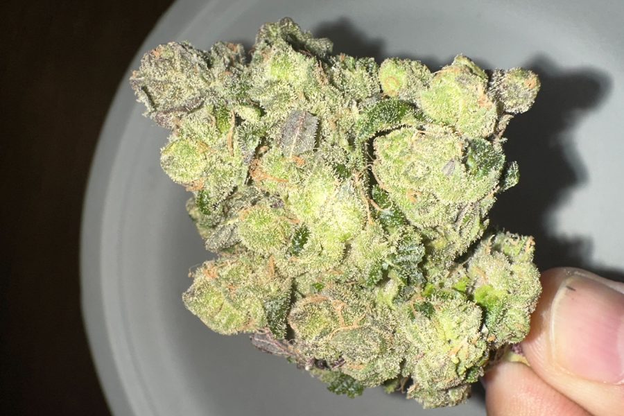How to Dry Weed Quickly