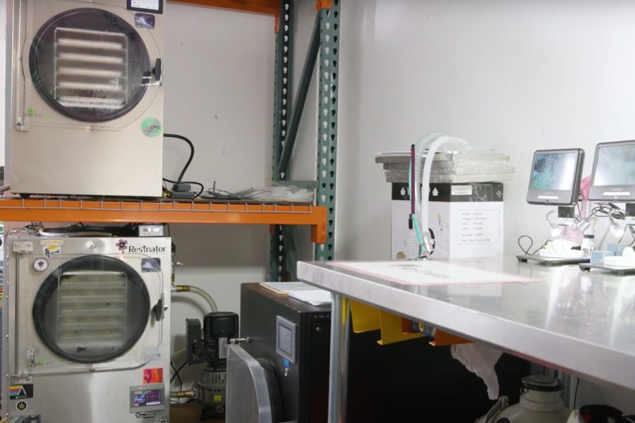 How Does the Lyophilization Process Work?