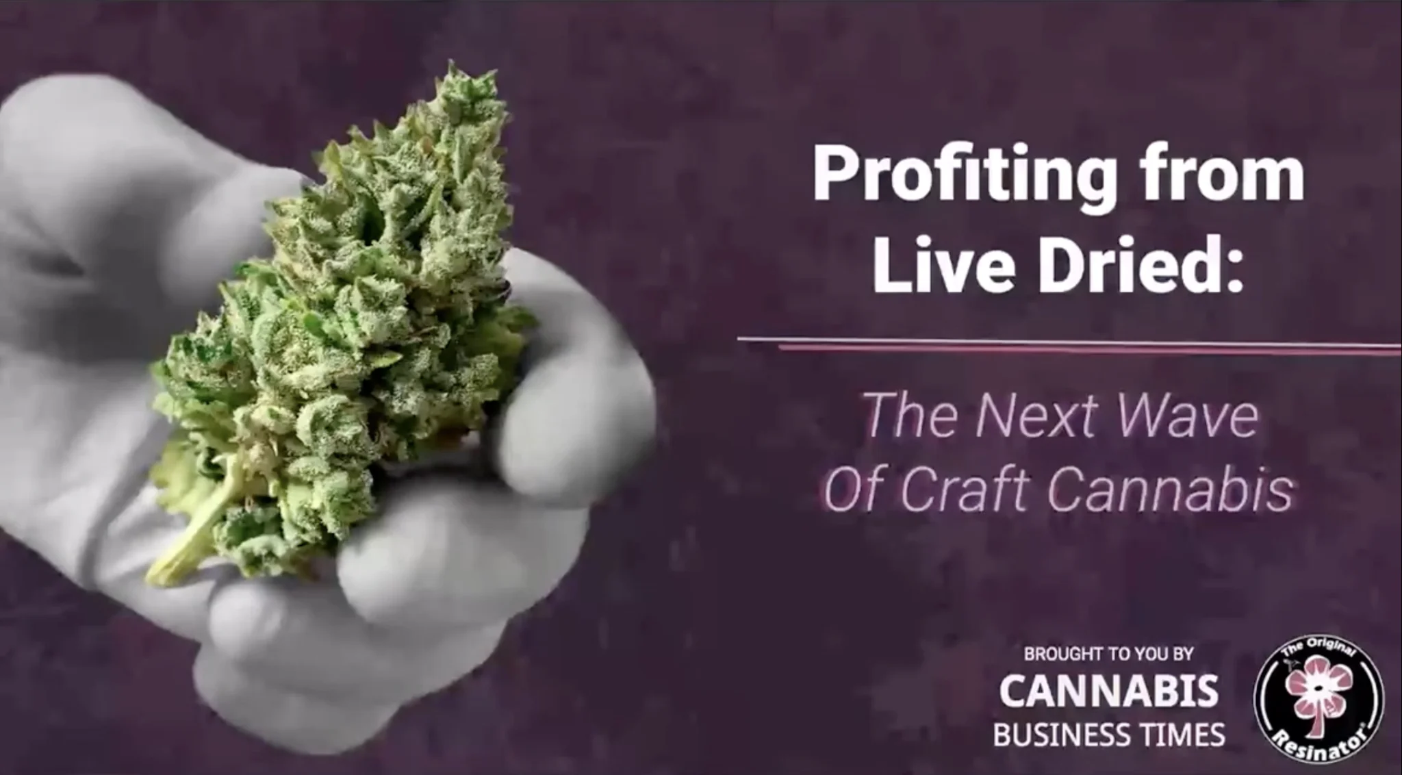 Live Dried Webinar