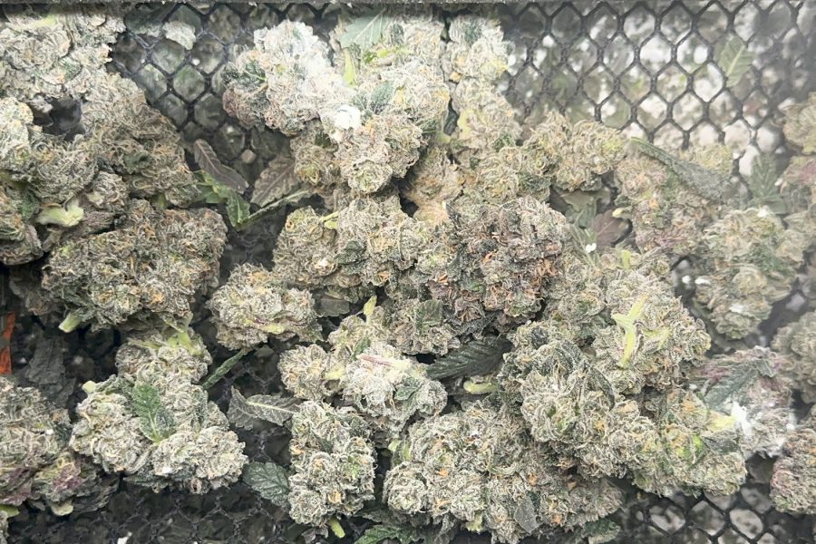 The Best Ways to Store Trim for Butter and Live Edibles