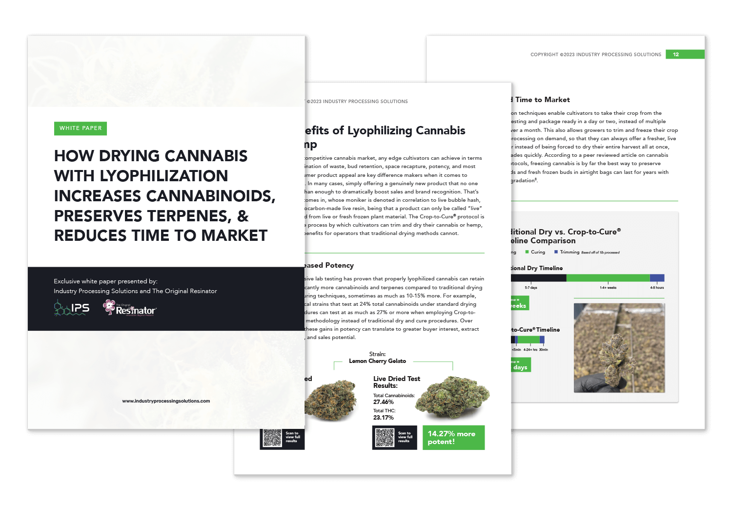 White Paper Mockup