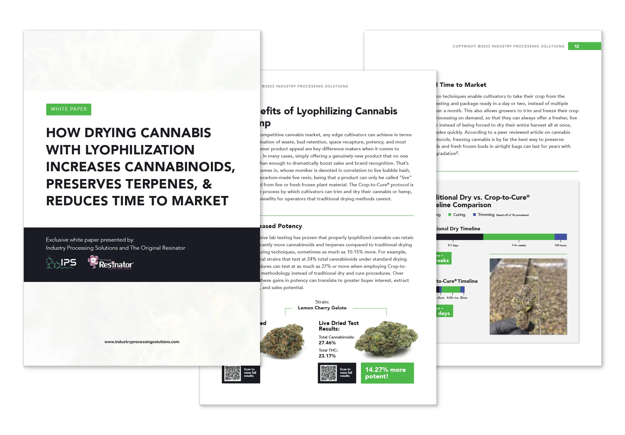 White Paper Mockup
