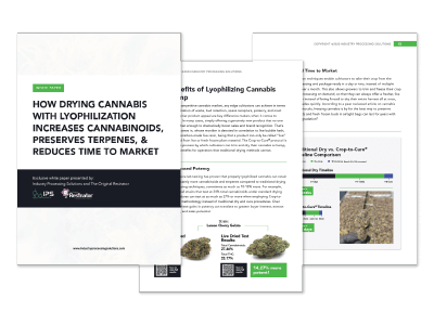 White Paper