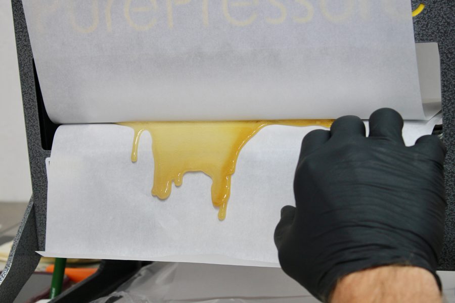 Expert’s Guide to Maximum Terpene Extraction
