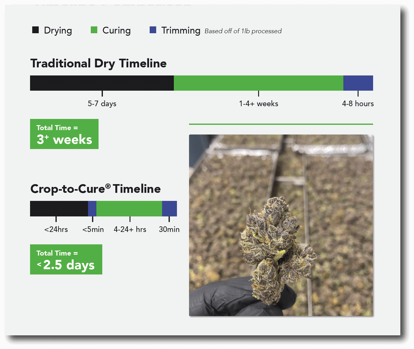 C2C Timeline Traditional Dry Vs. Crop-To-Cure® Timeline Comparison graphic