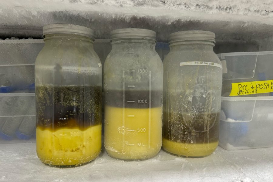 BHO Extraction Guide